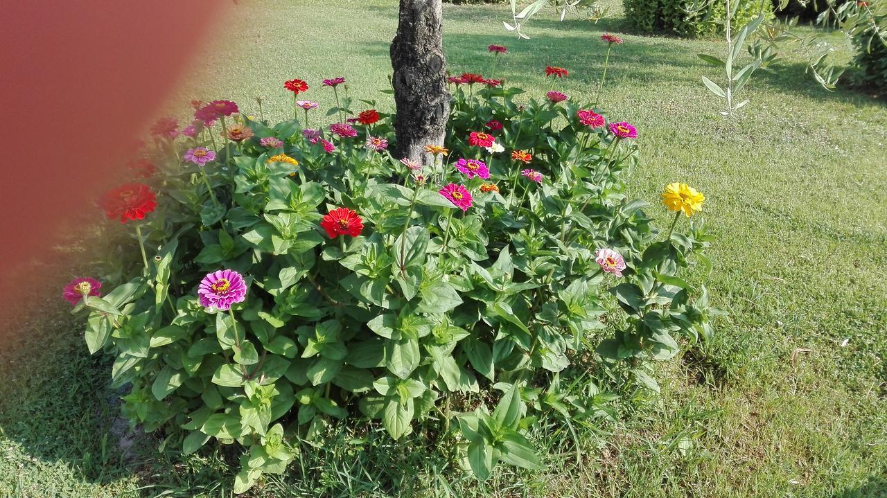 Bauernhof Tenuta Del Perugino