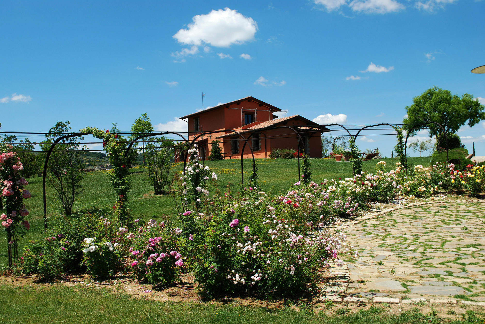 Tenuta Del Perugino *